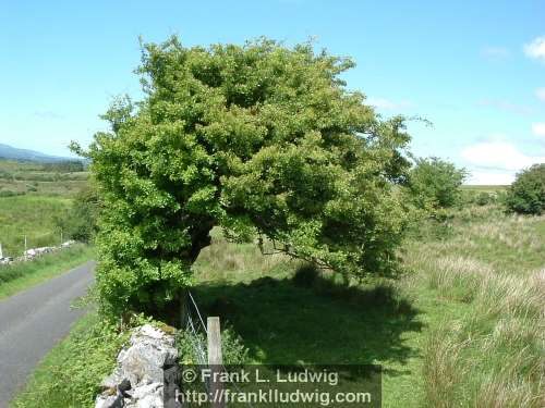 Around Carrowkeel